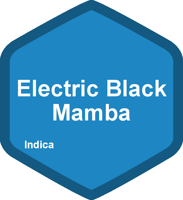 Electric Black Mamba