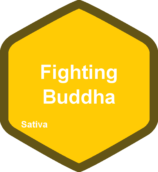 Fighting Buddha
