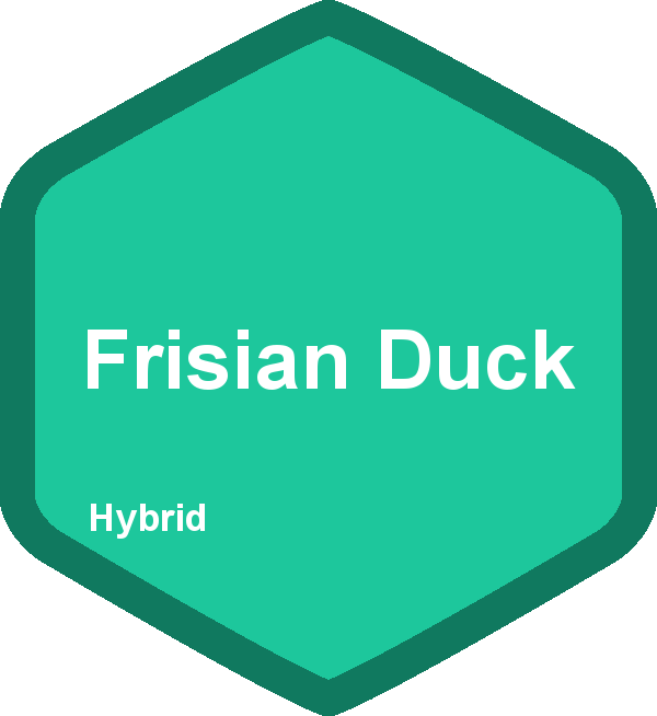 Frisian Duck