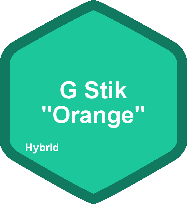 G Stik "Orange"