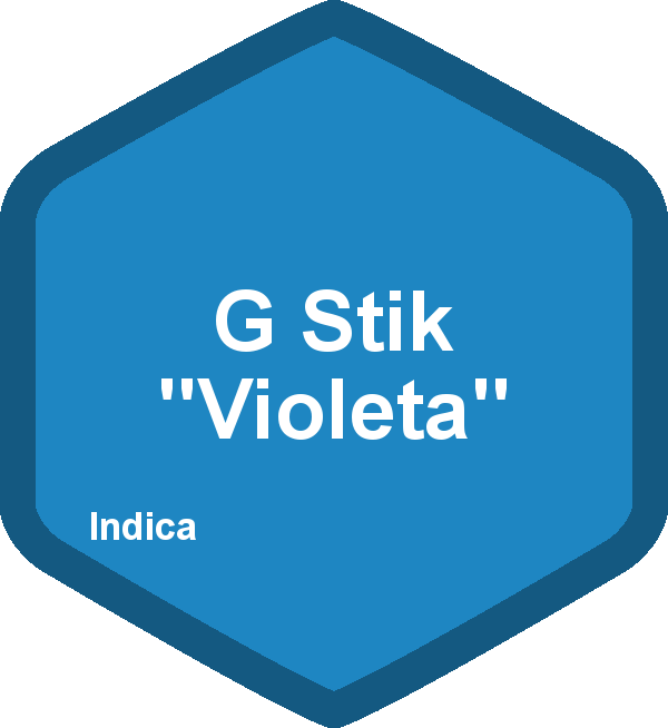 G Stik "Violeta"