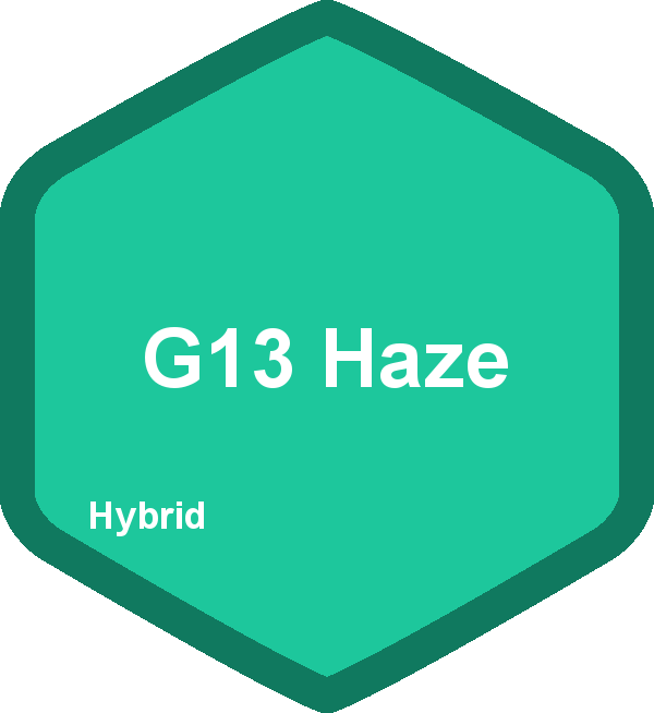 G13 Haze