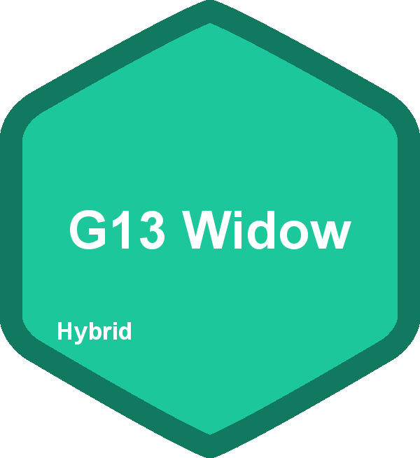 G13 Widow