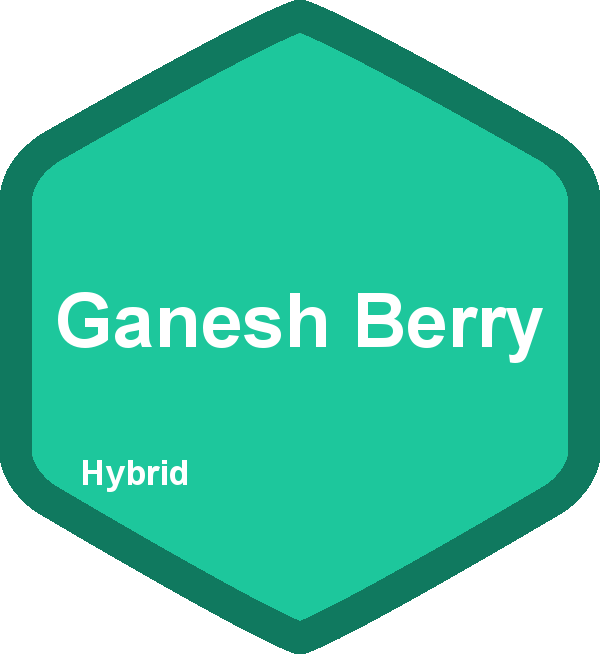 Ganesh Berry
