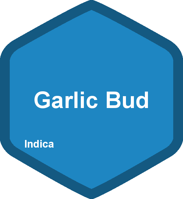 Garlic Bud