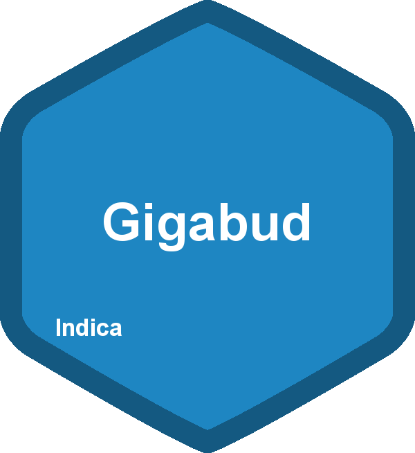 Gigabud