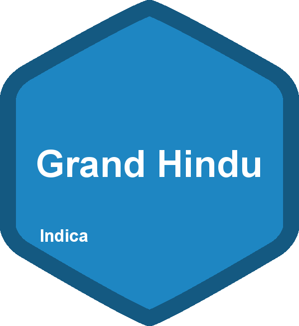 Grand Hindu