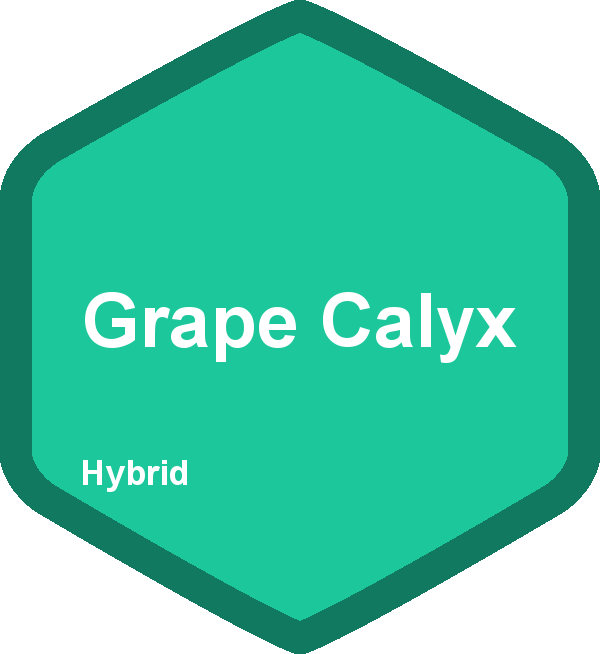 Grape Calyx
