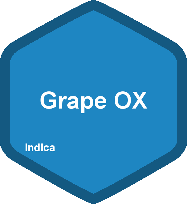 Grape OX