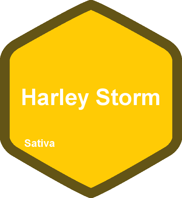 Harley Storm