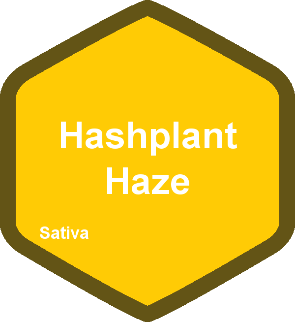 Hashplant Haze
