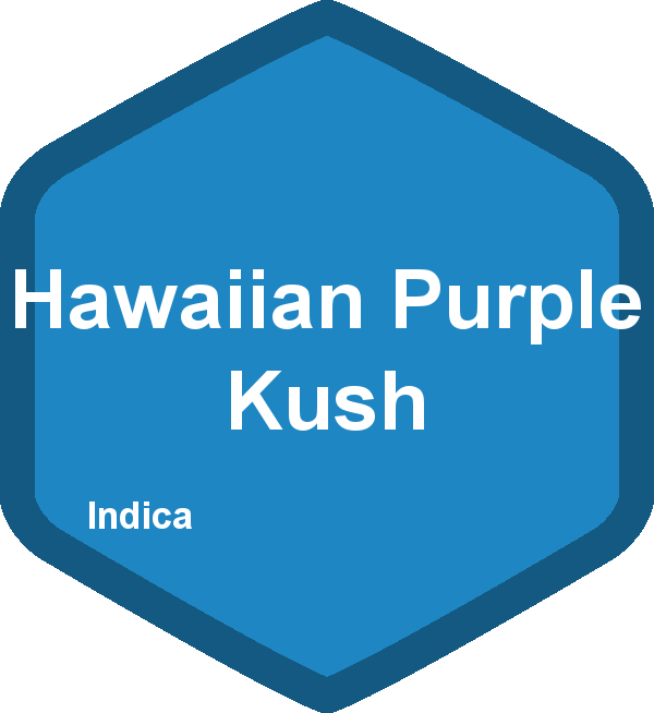 Hawaiian Purple Kush