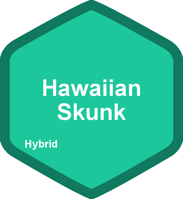 Hawaiian Skunk