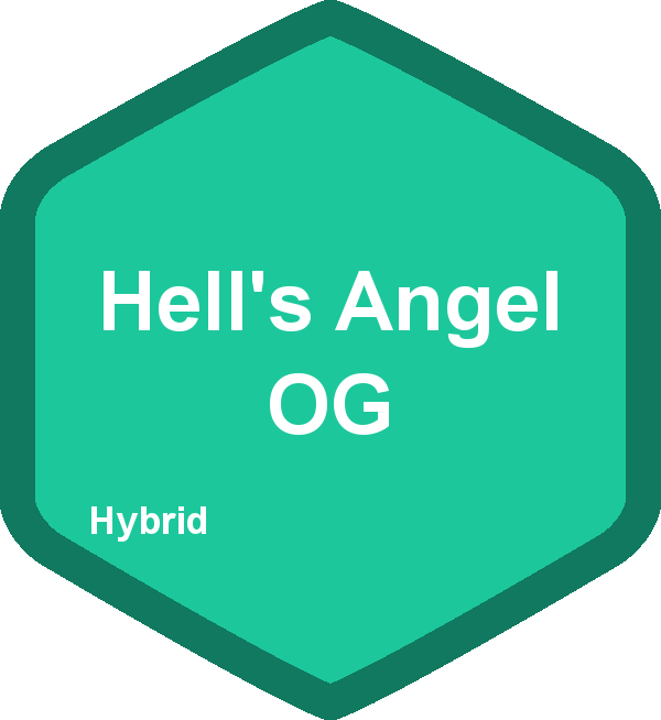 Hell's Angel OG