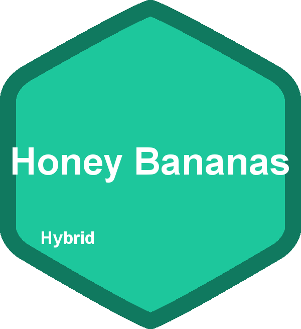 Honey Bananas