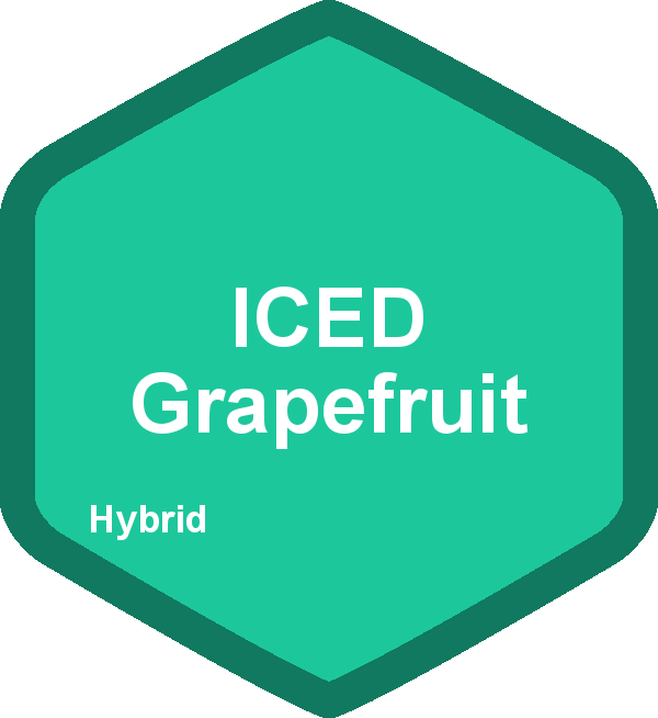 ICED Grapefruit