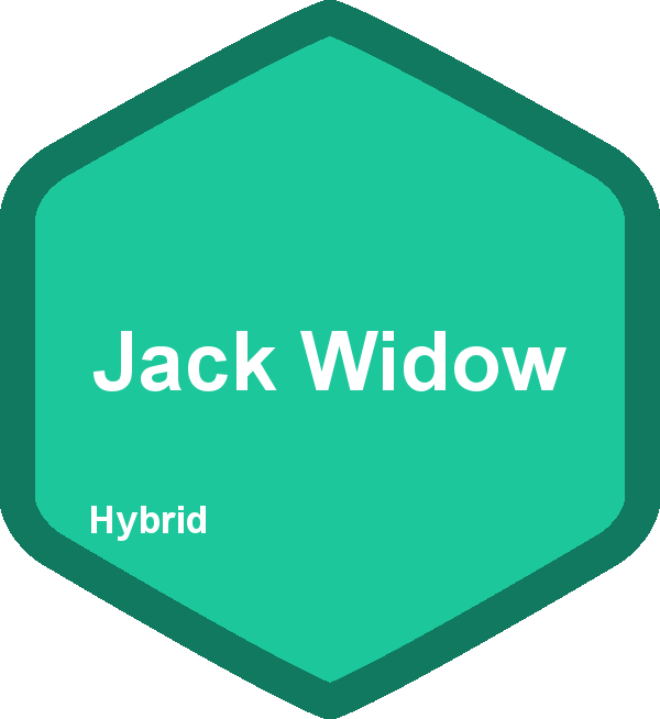Jack Widow