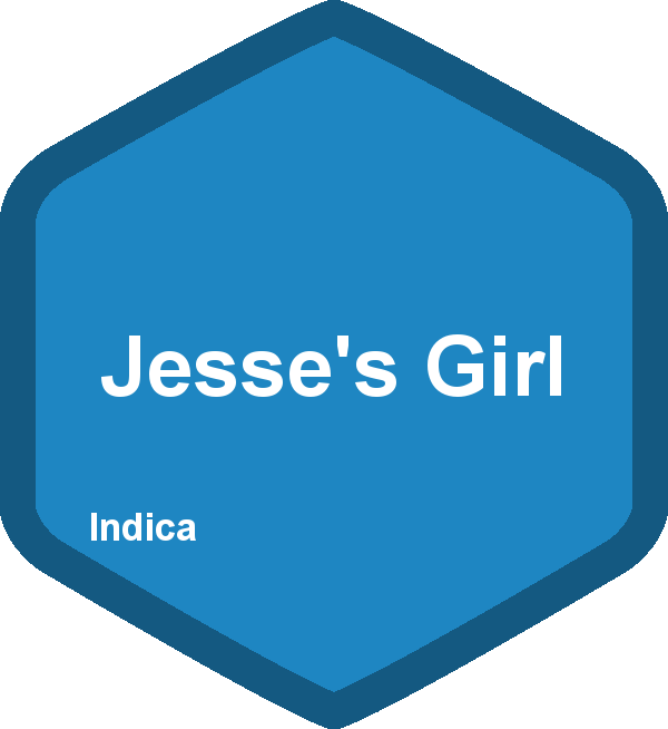 Jesse's Girl