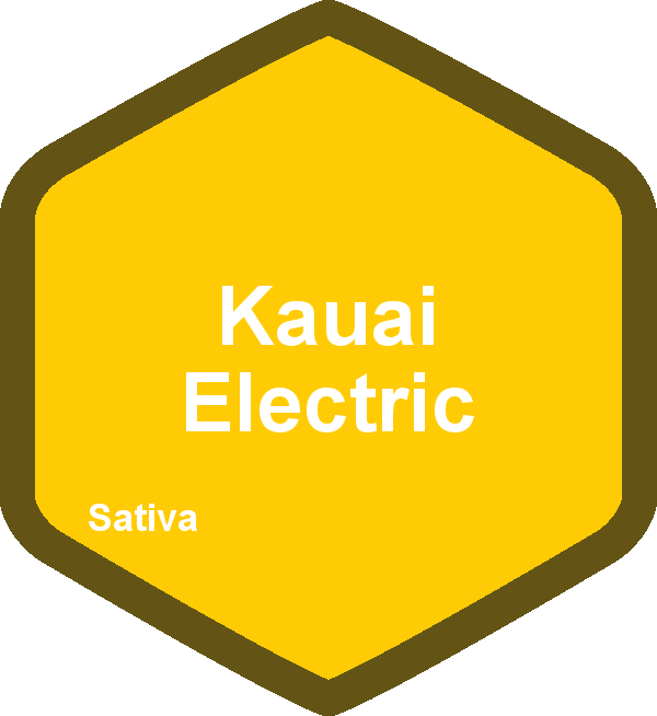 Kaua’i Electric