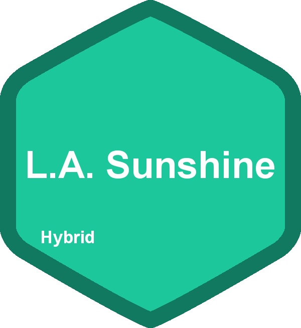 L.A. Sunshine