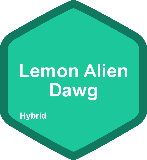 Lemon Alien Dawg