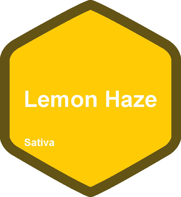 Lemon Haze
