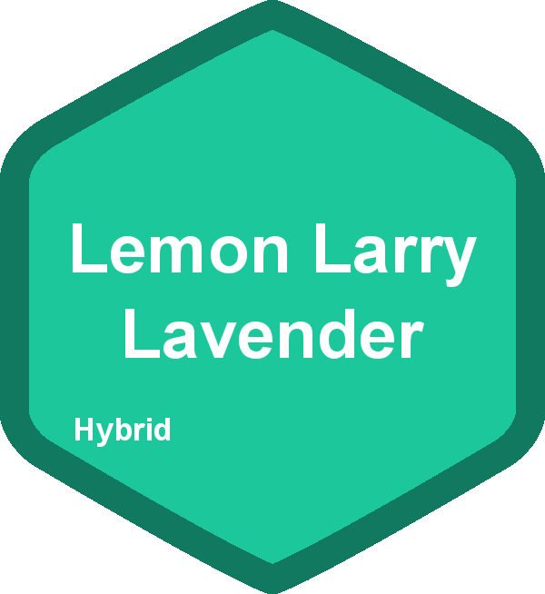 Lemon Larry Lavender