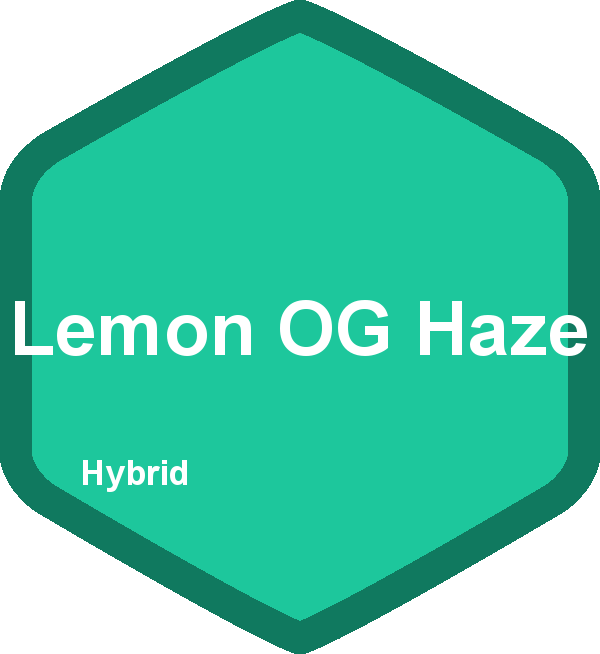Lemon OG Haze
