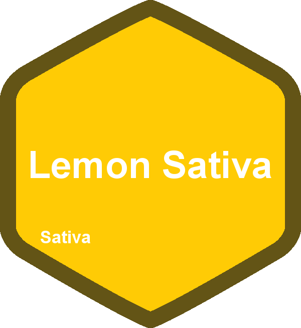 Lemon Sativa