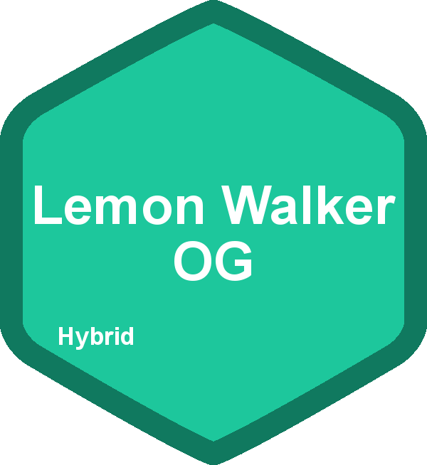 Lemon Walker OG