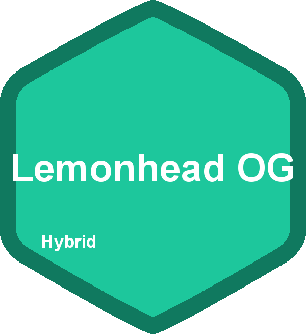 Lemonhead OG