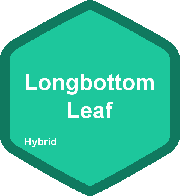 Longbottom Leaf