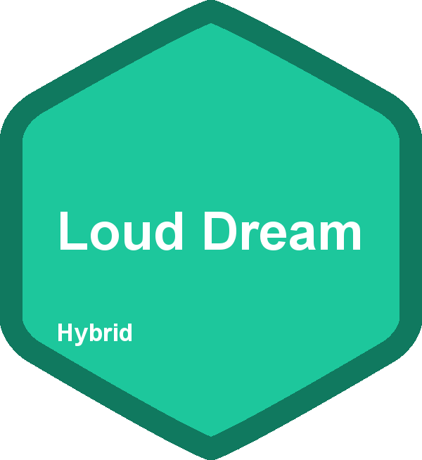 Loud Dream