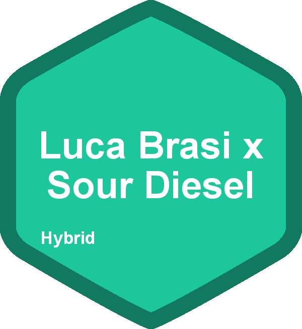 Luca Brasi x Sour Diesel