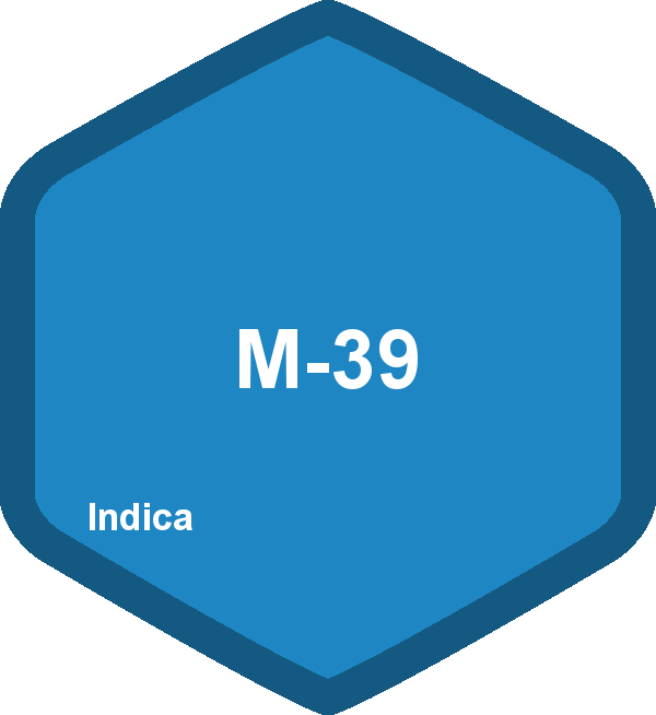 M-39
