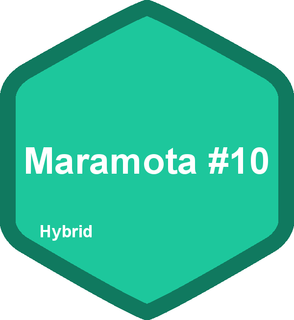 Maramota #10