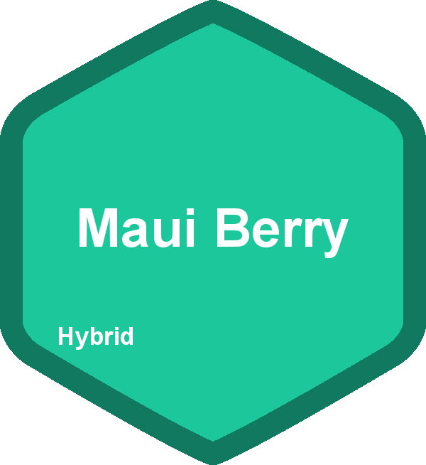 Maui Berry