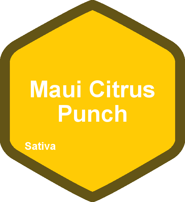 Maui Citrus Punch