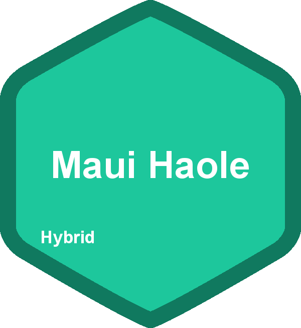 Maui Haole