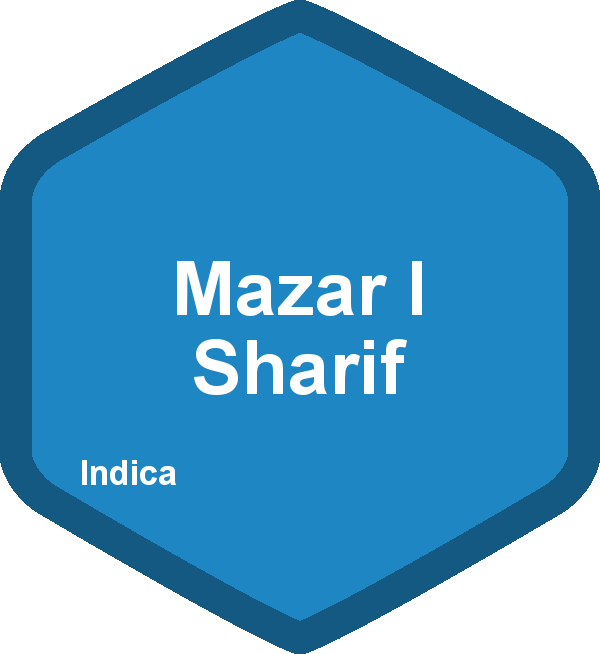 Mazar I Sharif