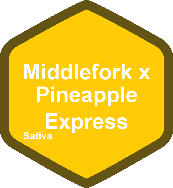 Middlefork x Pineapple Express