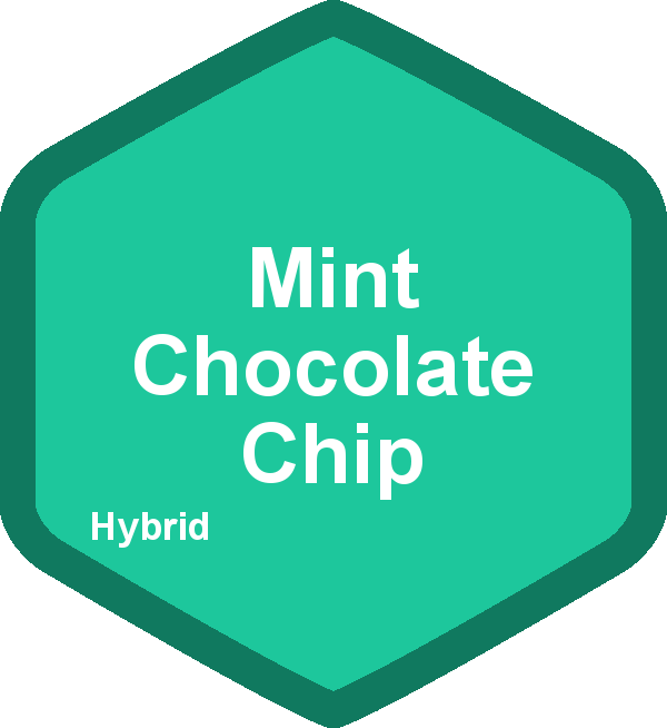 Mint Chocolate Chip