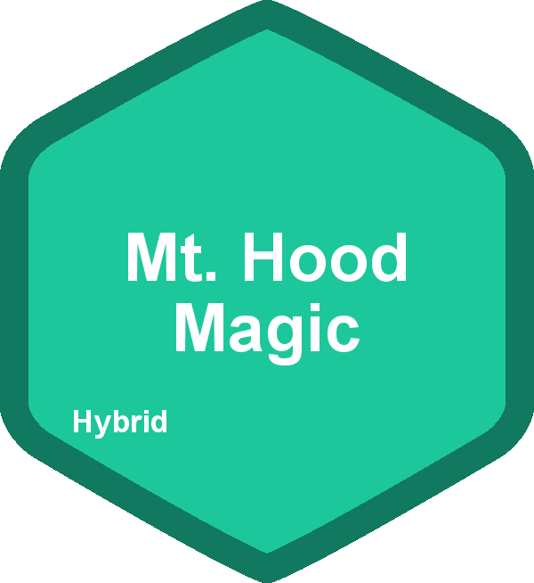Mt. Hood Magic
