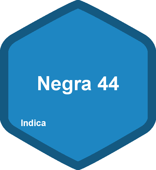 Negra 44