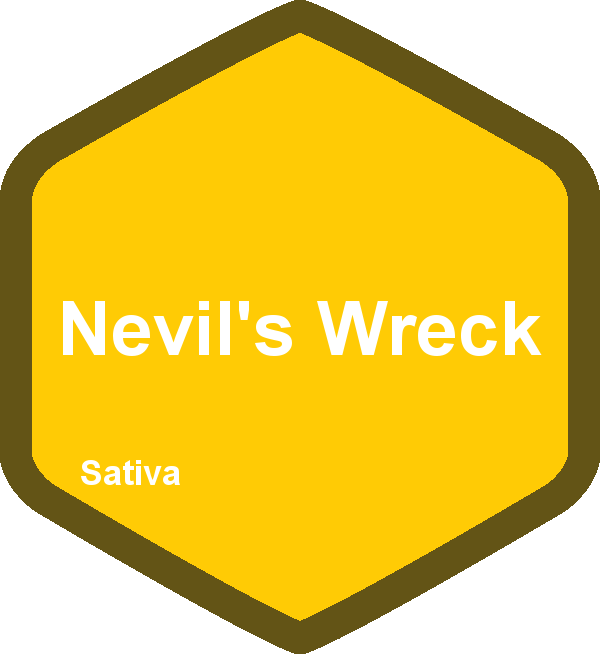 Nevil's Wreck
