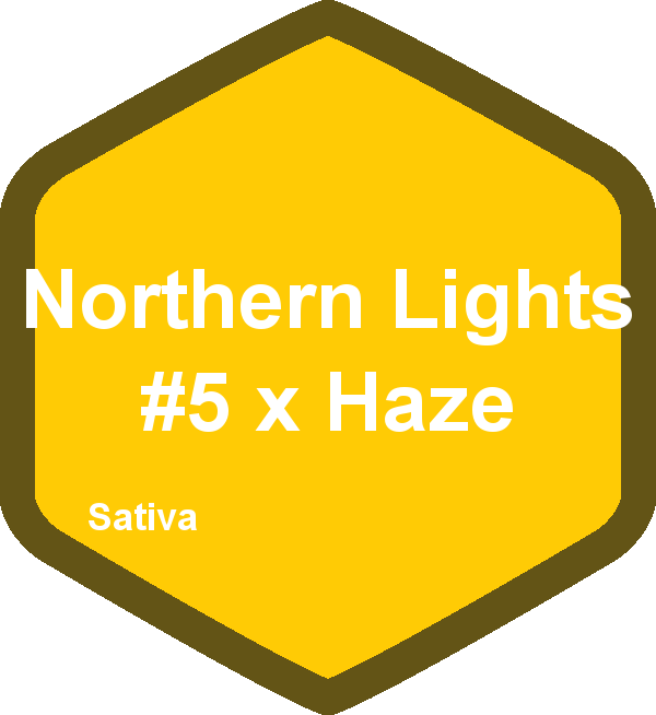 Northern Lights #5 x Haze