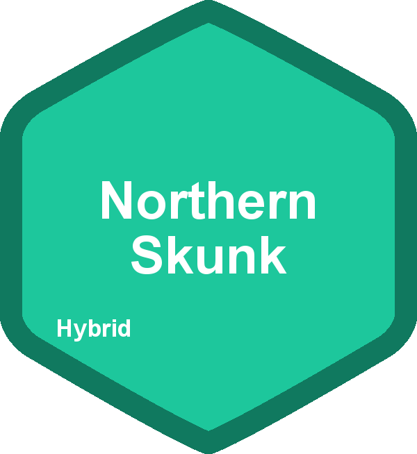 Northern Skunk