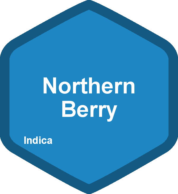 Northern Berry