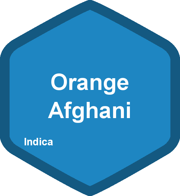 Orange Afghani