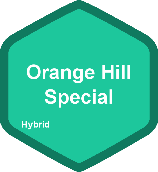 Orange Hill Special